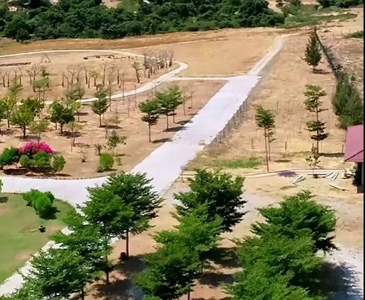 Được giao đất tại khu vực này, Công ty Sơn Hải lại đi thực hiện dự án tại nơi khác Screenshot 2025-05-13 172014.png