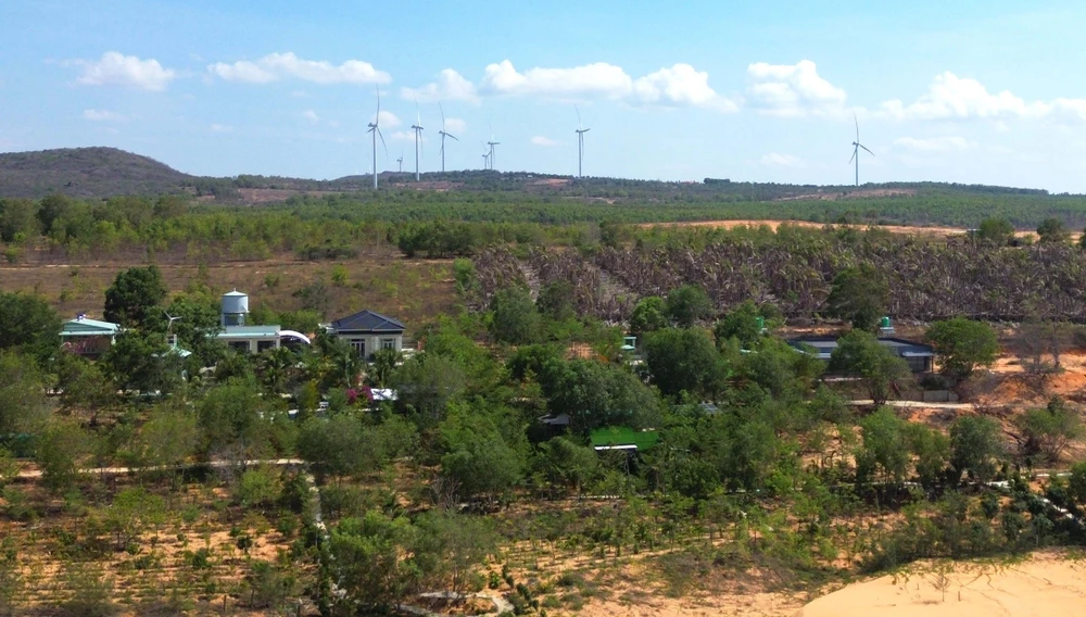 Khoảng 73.000m2 đất tại khu vực giáp ranh thắng cảnh nổi tiếng đồi Cát Bay Mũi Né (phường Mũi Né) đã bị nhiều đối tượng lấn chiếm. Ảnh: NGUYỄN TIẾN c1.jpg