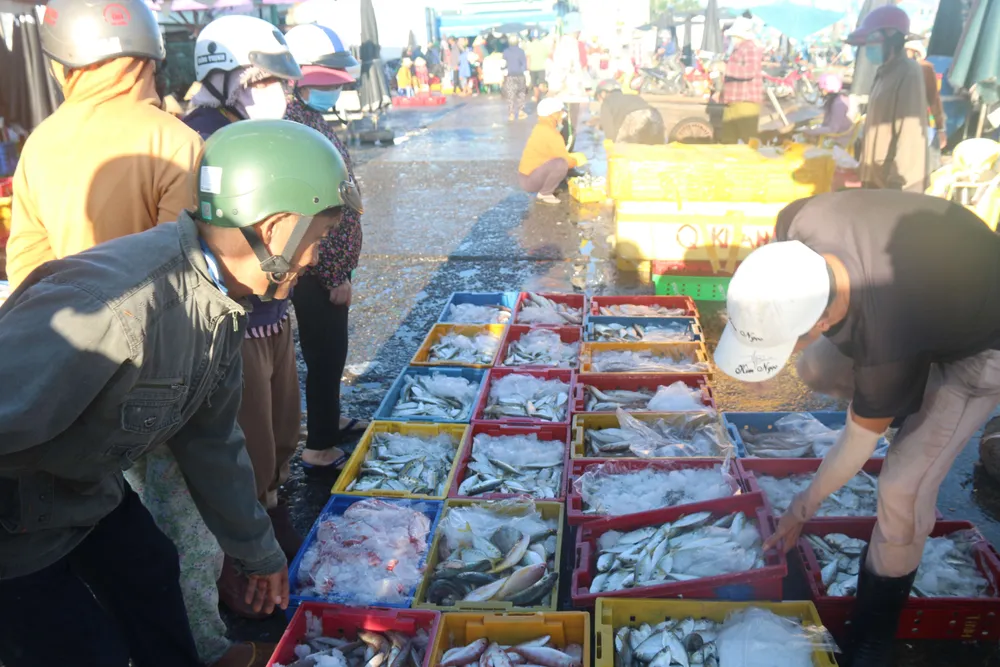 Hải sản tươi rói được bày bán trong chợ của cảng cá Phan Thiết IMG_8294.JPG