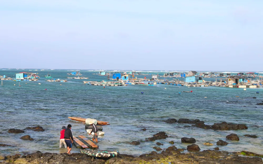 Kinh tế biển đang phát triển mạnh tại đặc khu Phú Quý pq3.JPG