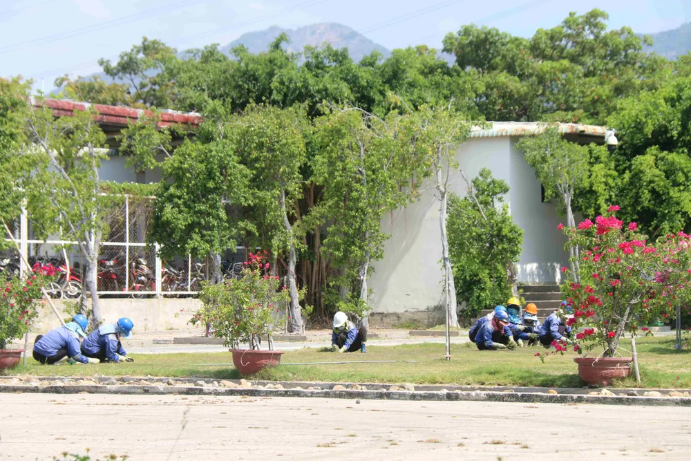 Khuôn viên xanh bên trong Nhà máy Nhiệt điện Vĩnh Tân 2 IMG_9074.JPG