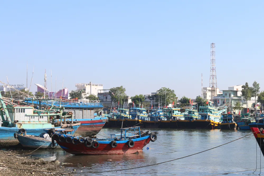 Lâm Đồng hiện là 1 trong 3 ngư trường trọng điểm của cả nước 2.JPG