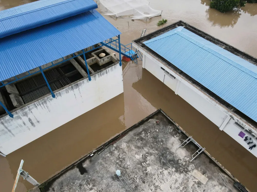 Nước lũ gây hỏng hệ thống bơm, nhà máy nước ngưng hoạt động n2.jpg