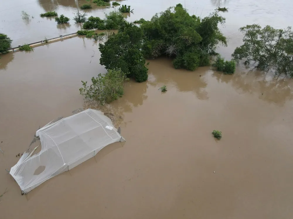 Nước lũ trên sông Lũy vẫn còn ở mức cao n3.jpg