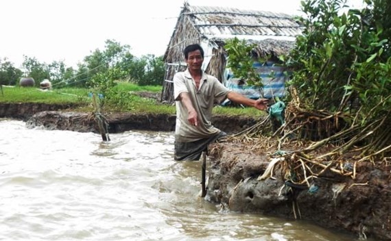 A coastal landslide spot in Ca Mau province (Photo: SGGP)