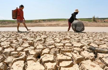 Vietnam needs tools to calculate damage relating to climate change impacts to improve natural disaster response and mitigation work, deputy minister of Agriculture and Rural Development Hoang Van Thang said yesterday. (Photo: donre.hochiminhcity.gov.vn)