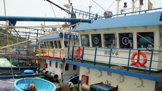 Damaged fishing boats have harbored at De Gi port for many months in Phu Cat district, Binh Dinh province, greatly affecting local fishermen’s livelihood (Photo: SGGP)