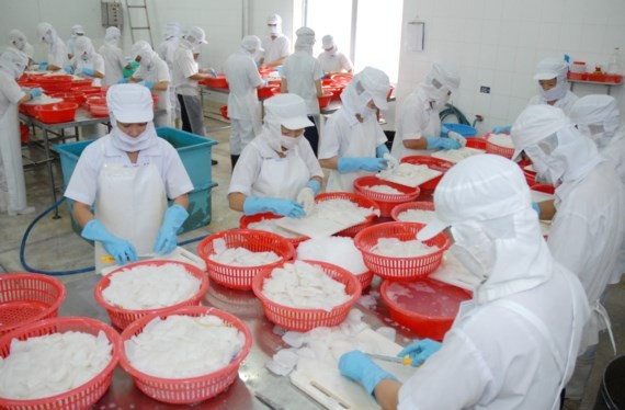 A shrimp processing plant in the Mekong Delta of Vietnam (Photo: SGGP)