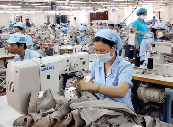 A garment plant in HCMC (Illustrative photo: SGGP)