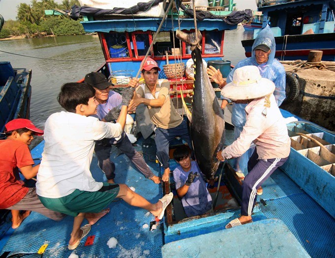 Fishermen in the central province of Binh Dinh catch a tuna fish. Decree 67 was issued to serve the needs of fishermen and contribute to the development of the country’s marine economy. (Photo: VNA/VNS)