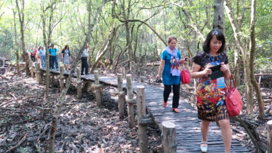 Each visitor to Can Gio spends only VND400,000 ảnh 1 Each visitor to Can Gio spends only VND400,000 ảnh 1
