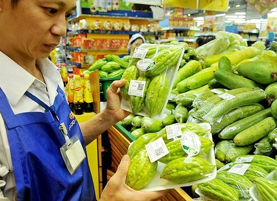 Bitter melon meeting VietGap quality standards are sold in a supermarket (Photo: SGGP)