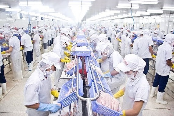 A seafood processing plant (Photo: SGGP)