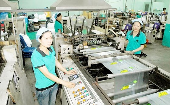 A Vietnamese plastic company (Photo: SGGP)