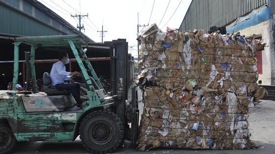 Xuan Mai paper plant (Photo: SGGP)