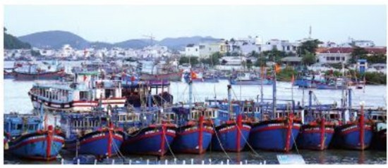 Southern Vietnam braces for typhoon Usagi ảnh 3