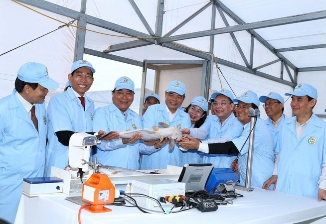 Prime Minister Nguyen Xuan Phuc (third from left) visited a high-tech tra fish farm in An Giang province on December 14 (Photo: VNA)