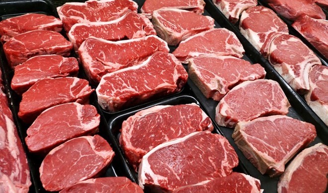 Brazil plans to export live cattle to Malaysia