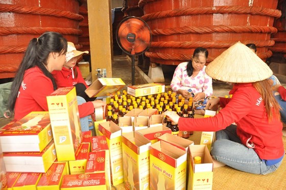 Traditional fish sauce producion in Phu Quoc (Photo: SGGP)