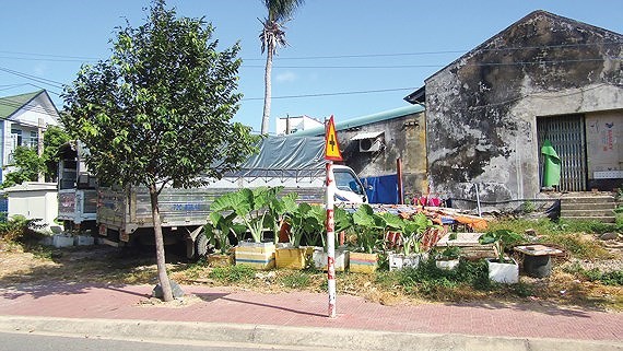 A land plot in dispute in Con Dao island (Photo: SGGP)