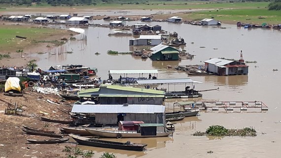 Highly dense fish populations in breeding farms is also a cause of water pollution on the La Nga river (Photo: SGGP)