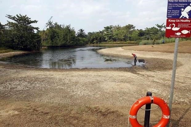 Low water levels are recorded in ponds, rivers in Singapore (Source: straitstimes)