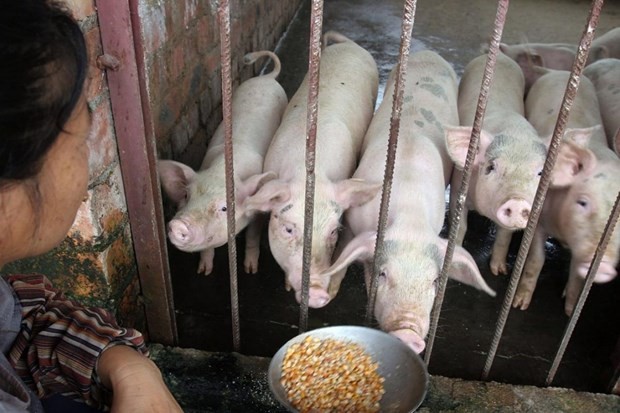 (Illustrative photo: www.scmp.com)