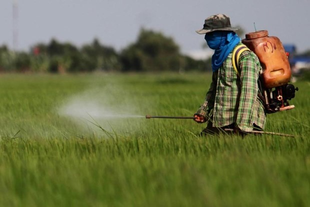 A Thai farmer sprays herbicide on the field (Photo: www.chiangraitimes.com)
