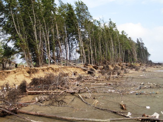 Landslide has been complicated in the Mekong Delta (Photo: SGGP)