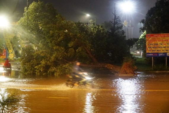 Strong winds uproot trees in Quy Nhon city, Binh Dinh province (Photo: SGGP)