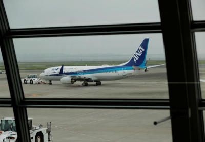 An aircraft of ANA (Photo: internet)