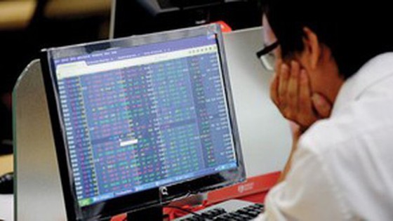 Stock market continues to draw new investors ảnh 1 Stock market continues to draw new investors ảnh 1