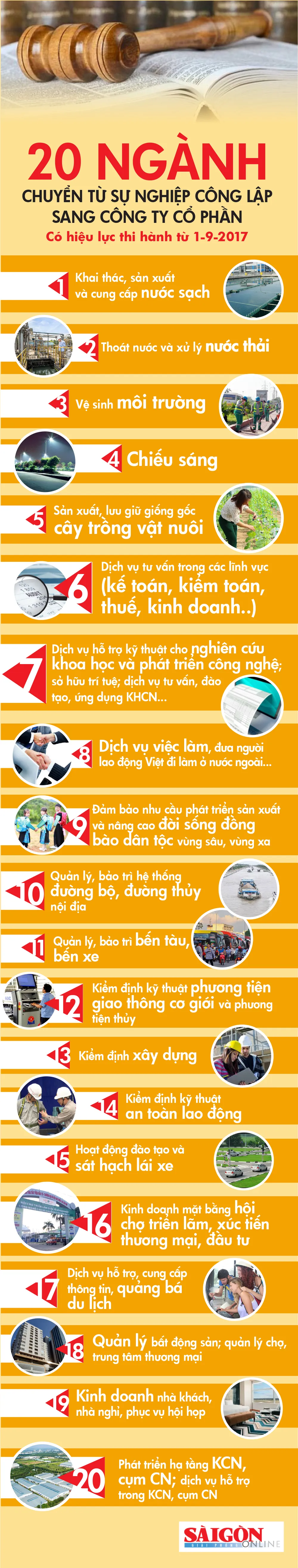 20 ngành chuyển từ sự nghiệp công lập sang công ty cổ phần từ 1-9-2017  ảnh 1