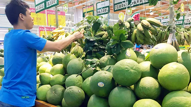 Bưởi da xanh bày bán tại siêu thị