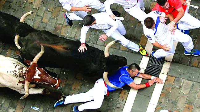 Cuồng nhiệt lễ hội bò tót San Fermin ảnh 1 Cuồng nhiệt lễ hội bò tót San Fermin ảnh 1