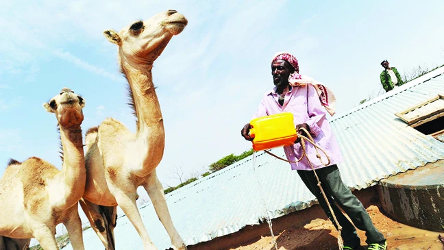 Hầm nước tại làng Carro - Yaambo, Somalia