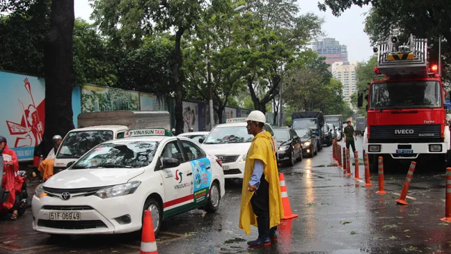 Cổ thụ bật gốc đè ô tô, 1 người trọng thương  ảnh 3