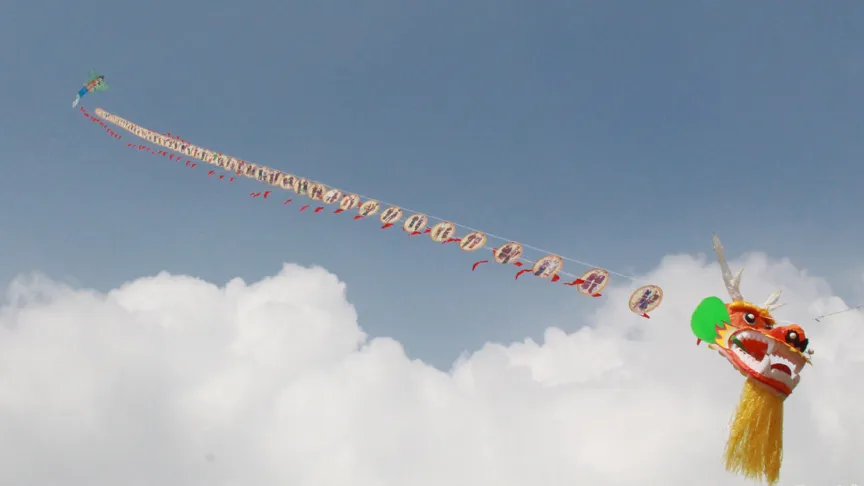 Ngất ngây với những con diều trên bãi biển Vũng Tàu ảnh 1