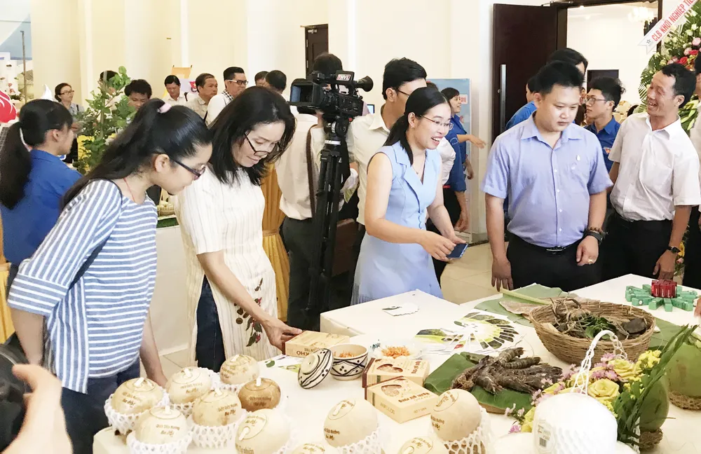 Bến Tre hướng đến “Khởi nghiệp bền vững” ảnh 1 Bến Tre hướng đến “Khởi nghiệp bền vững” ảnh 1