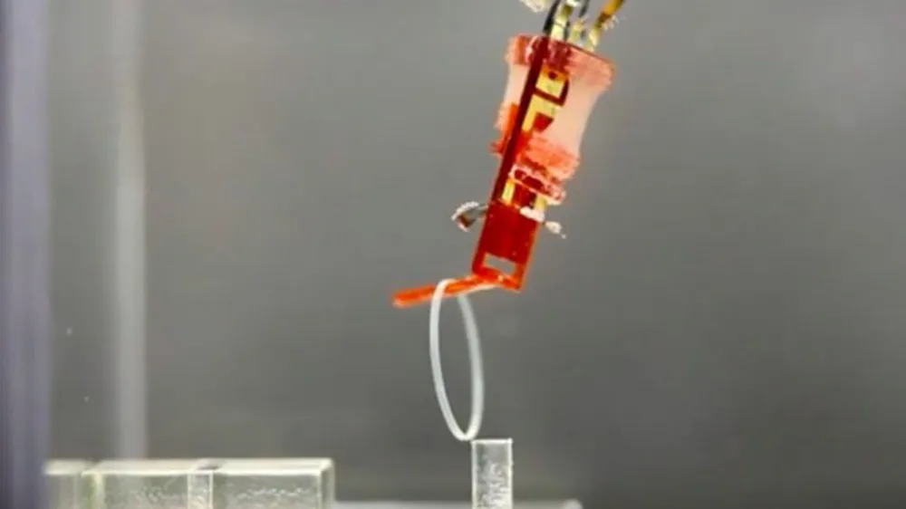 Robot có cơ động vật