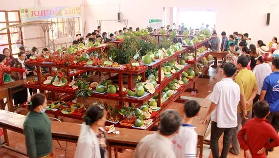 Nhiều người đến tham quan lễ hội trái ngon, an toàn tỉnh Bến Tre năm 2018, diễn ra từ ngày 15 đến 19-6, tại sân vận động huyện Chợ Lách