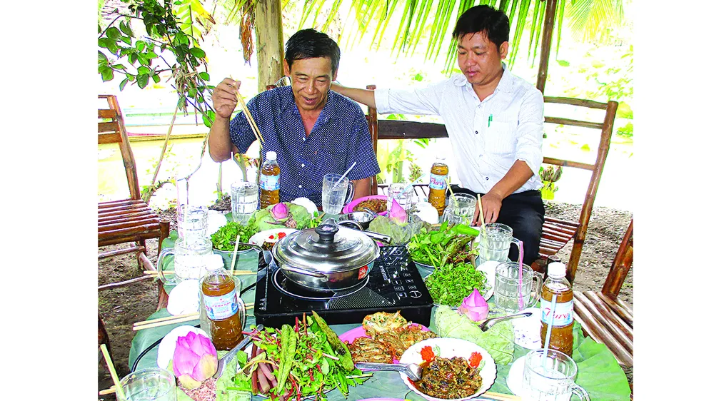Homestay ở Tam Nông ảnh 3