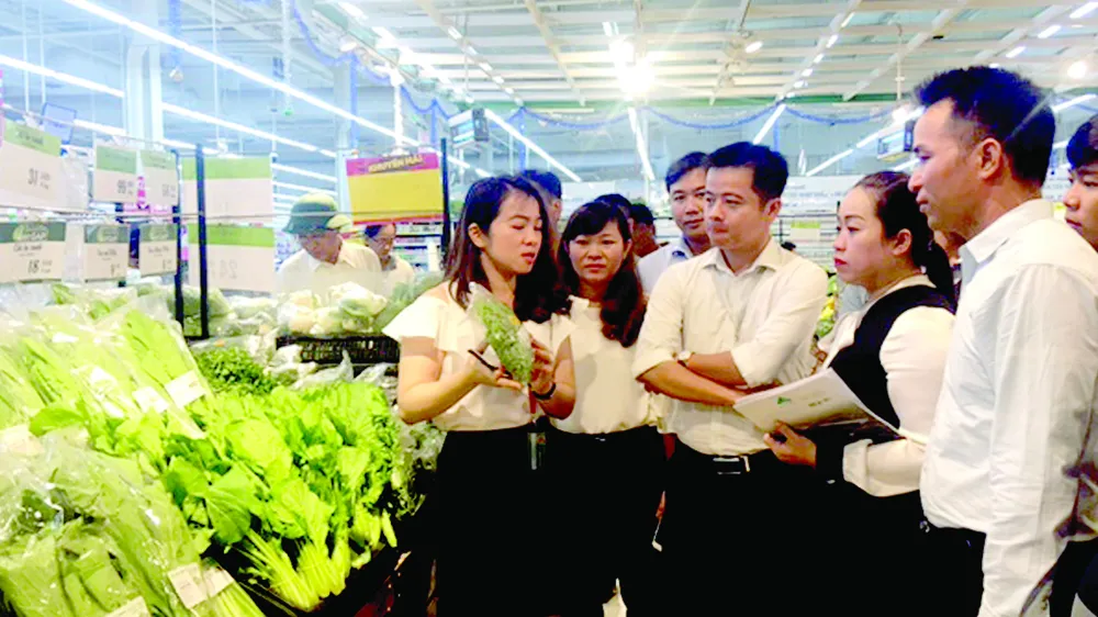 Nhân viên BigC tập huấn tại quầy mặt hàng rau ăn lá cho các hộ sản xuất huyện Nhà Bè. Ảnh: Hải Hà