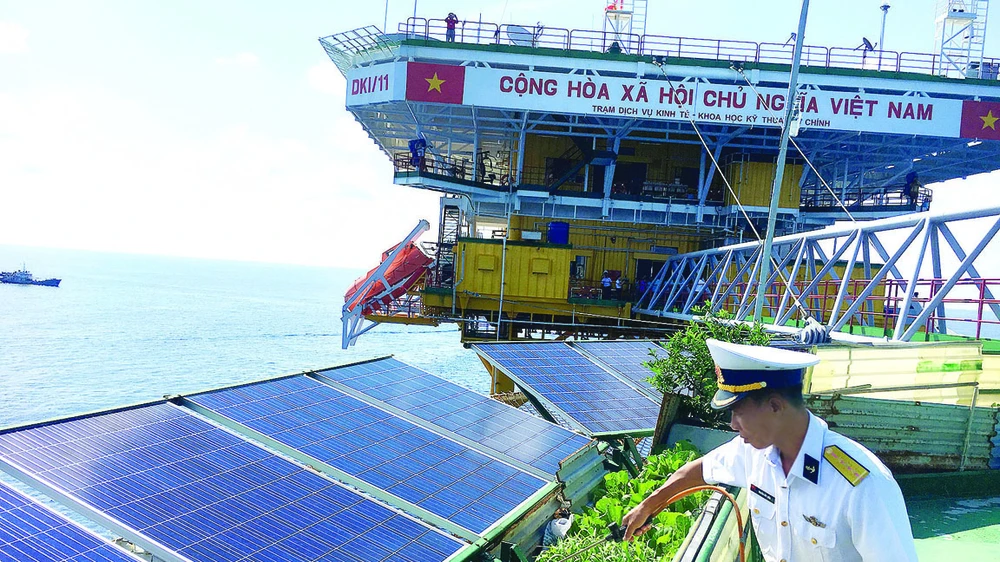 Trồng rau theo “công nghệ biển“