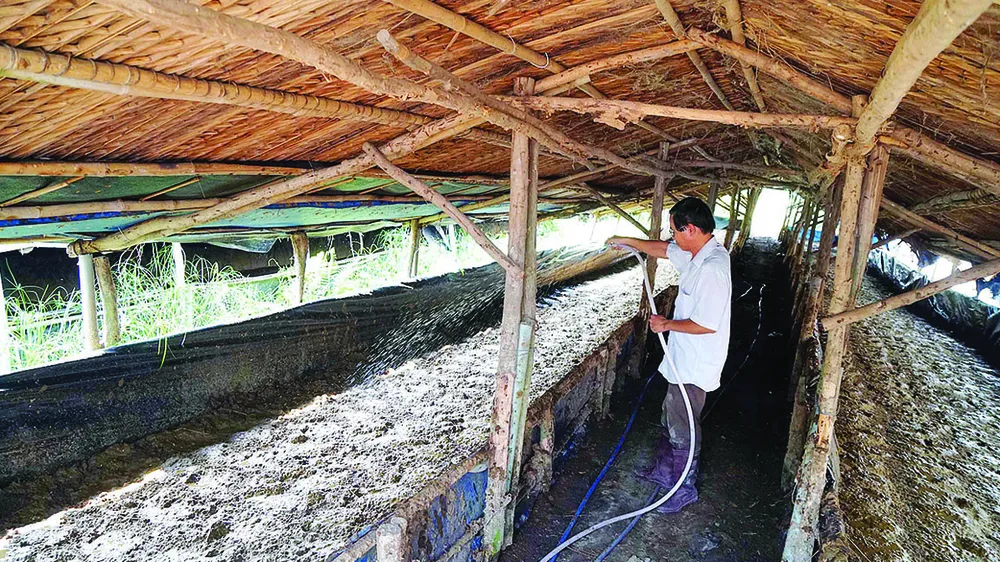 Nâng chất nông thôn mới ảnh 4