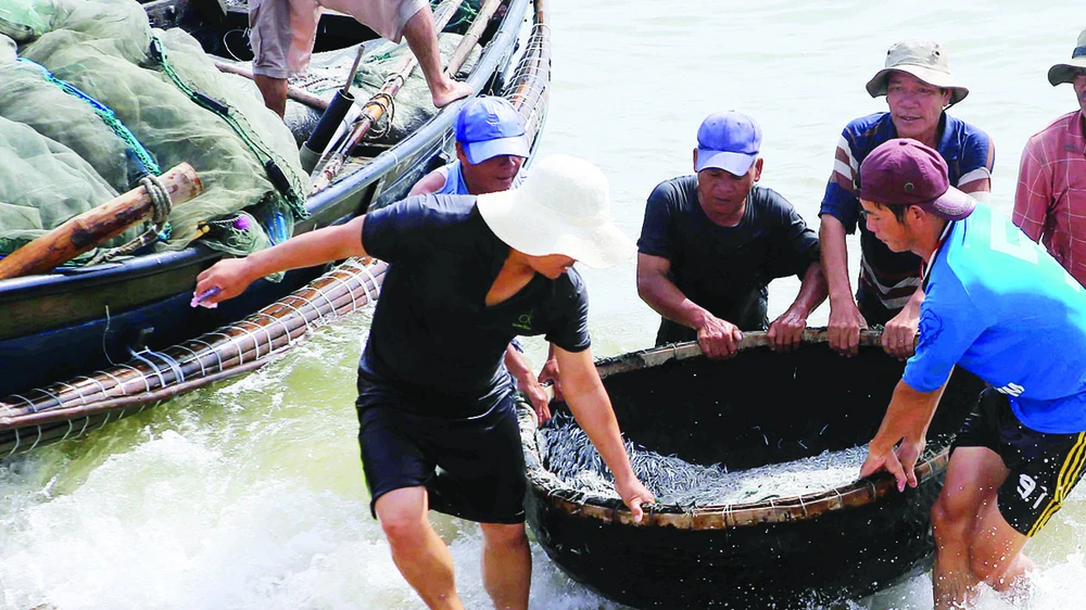 Ngư dân miền Trung trúng đậm “lộc biển”