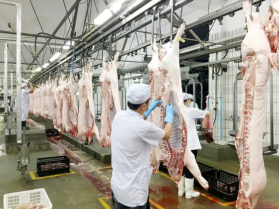 Thịt heo được giết mổ công nghiệp sẽ đảm bảo an toàn vệ sinh thực phẩm