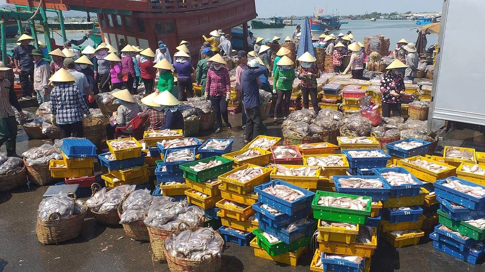 Chung tay ngăn chặn đánh bắt hải sản trái phép