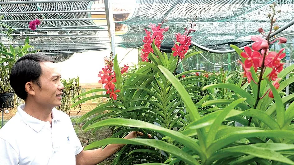 Làm nông an nhàn ảnh 2 Làm nông an nhàn ảnh 2