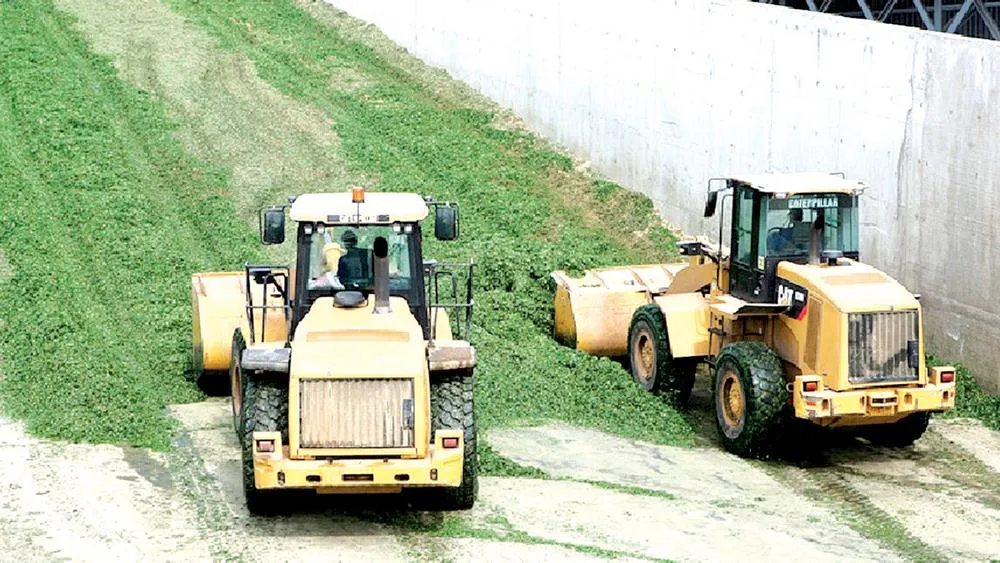 Làm nông an nhàn ảnh 4 Làm nông an nhàn ảnh 4